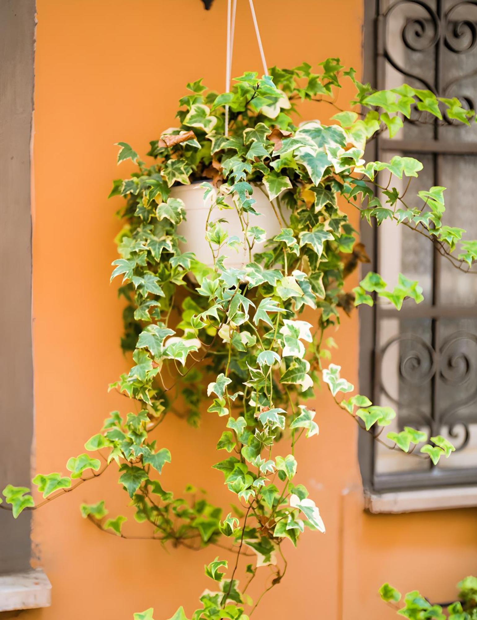 The Best Nest Rome Luaran gambar